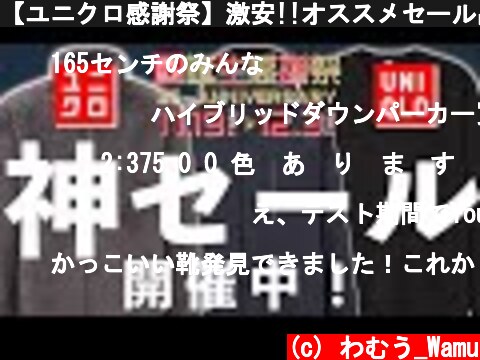 【ユニクロ感謝祭】激安!!オススメセール品BEST3!!【UNIQLO】  (c) わむう_Wamu